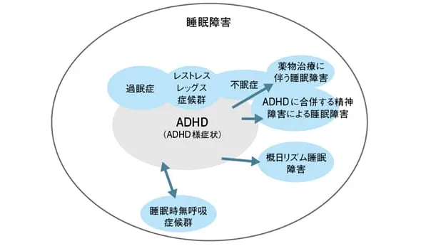 脳波による分類