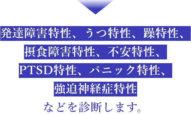 発達障害特性、うつ特性、躁特性、統合失調特性、不安特性、PTSD特性、パニック特性、不眠特性などを診断します。