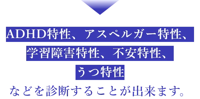 ADHD特性、アスペルガー特性、学習障害特性、不安特性、うつ特性などを診断することが出来ます。