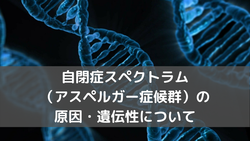 自閉症スペクトラム(アスペルガー症候群)の原因は?遺伝性はどれくらいあるのか?【医師が分かりやすく解説】