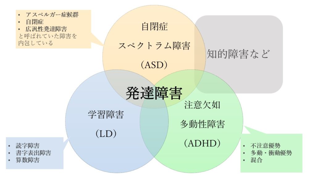 発達障害グレーゾーンとは？特徴や正確な診断、治療の可否について ブレインクリニック